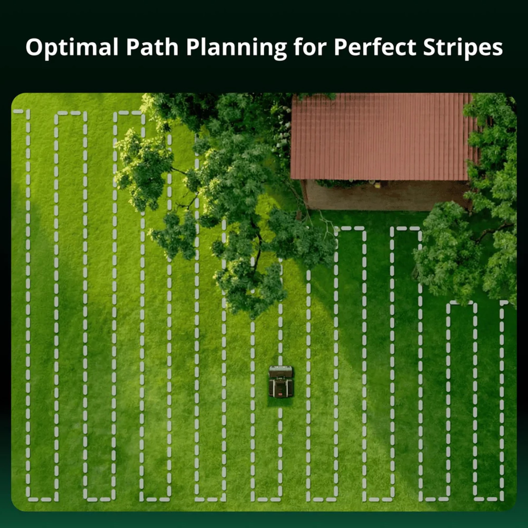 Lymow One Plus path planning graphic